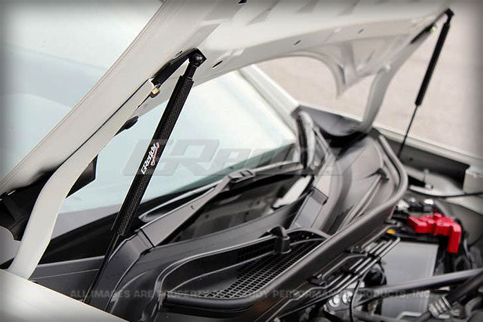 GReddy Carbon Hood Damper(s)